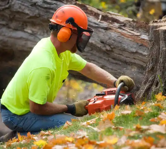 tree services Artesia